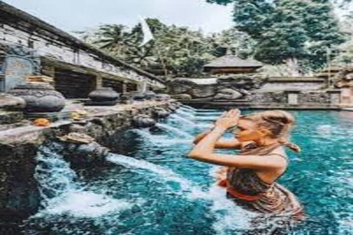 Ubud Arts & Culture Village Tour — Monkey Forest, Rice Terraces & Waterfall (4–5 hrs) photo 3