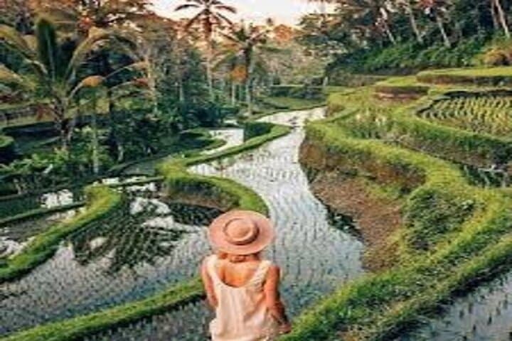Ubud Arts & Culture Village Tour — Monkey Forest, Rice Terraces & Waterfall (4–5 hrs) photo 4