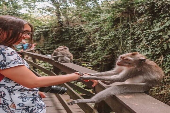 Ubud Arts & Culture Village Tour — Monkey Forest, Rice Terraces & Waterfall (4–5 hrs) photo 6