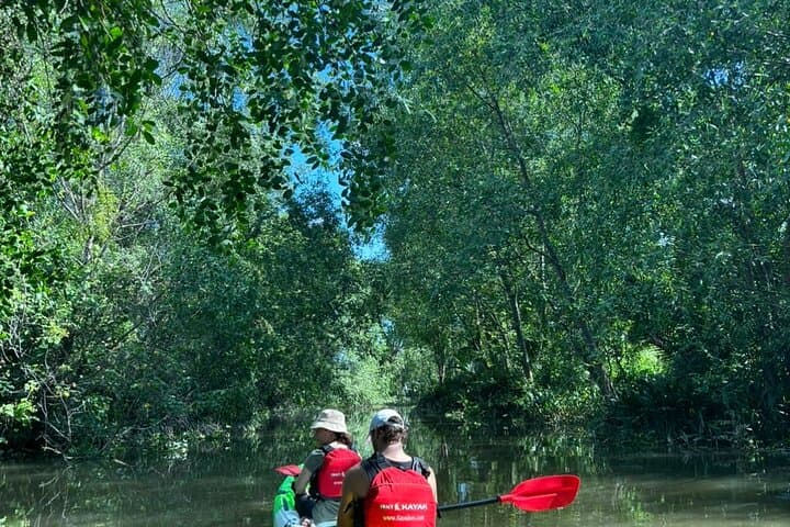 VIP Mekong Delta Cycling & Kayaking Day Trip from Ho Chi Minh City photo 2
