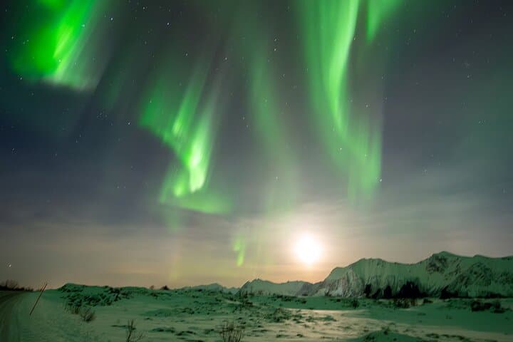 Ultimate Aurora Hunt — Northern Lights Van Tour in Svolvær, Lofoten photo 2