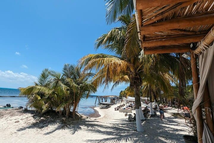 Isla Mujeres Catamaran Cruise: Adults-Only Beach Club Lunch & Snorkel on the Mesoamerican Reef photo 2
