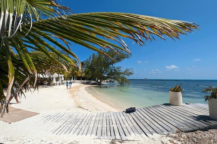 Isla Mujeres Catamaran Cruise: Adults-Only Beach Club Lunch & Snorkel on the Mesoamerican Reef photo 6