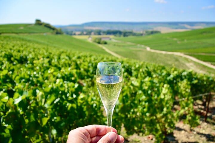 Champagne Day Tour from Paris: Sommelier-Led Visits to Reims & Hautvillers photo 2