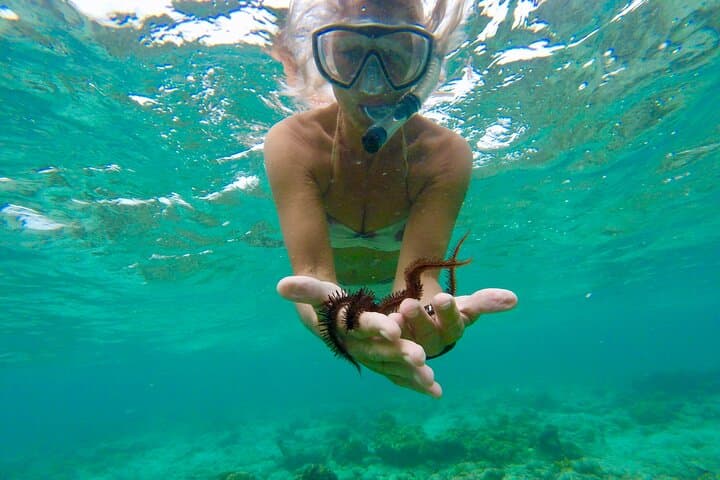 Glass-Bottom Boat to Nylon Pool: Buccoo Reef Snorkel & Sandbank Cruise photo 2