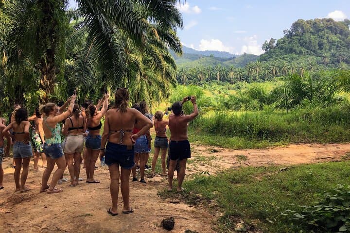 Krabi Jurassic Jungle Kayak & Phra Nang Cave Beach Tour — Railay Day Trip photo 3