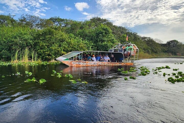Everglades Airboat Tour from Miami — Alligators, Wildlife & Roundtrip Bus Transfer photo 4