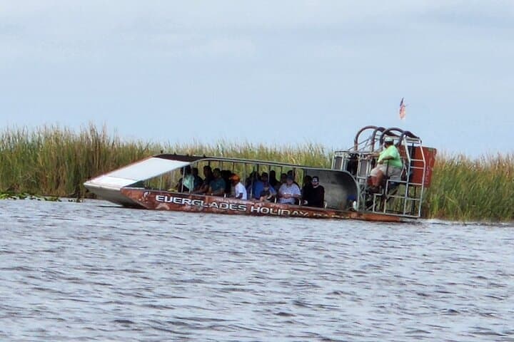 Everglades Airboat Tour from Miami — Alligators, Wildlife & Roundtrip Bus Transfer photo 5