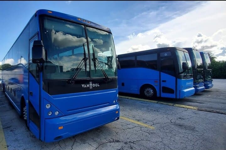 Everglades Airboat Tour from Miami — Alligators, Wildlife & Roundtrip Bus Transfer photo 2