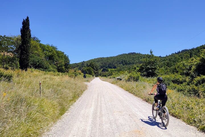 E-bike Through Chianti: Sculpture Park, Scopeto & Chianti Classico Tasting photo 5