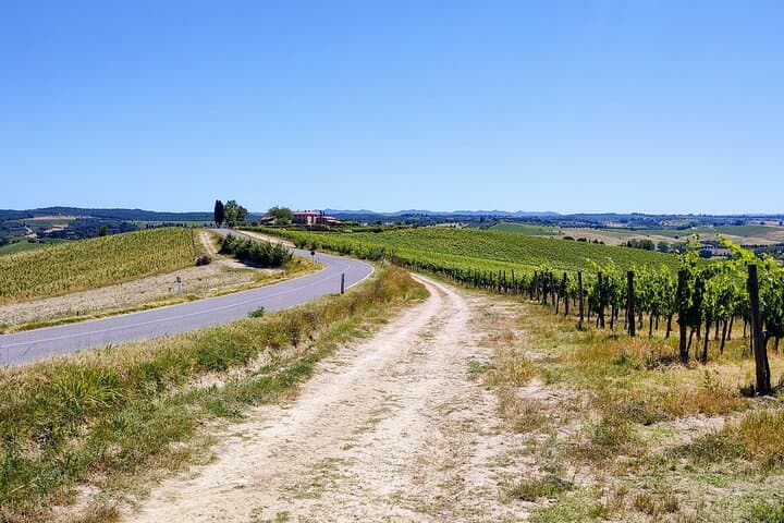 E-bike Through Chianti: Sculpture Park, Scopeto & Chianti Classico Tasting photo 2
