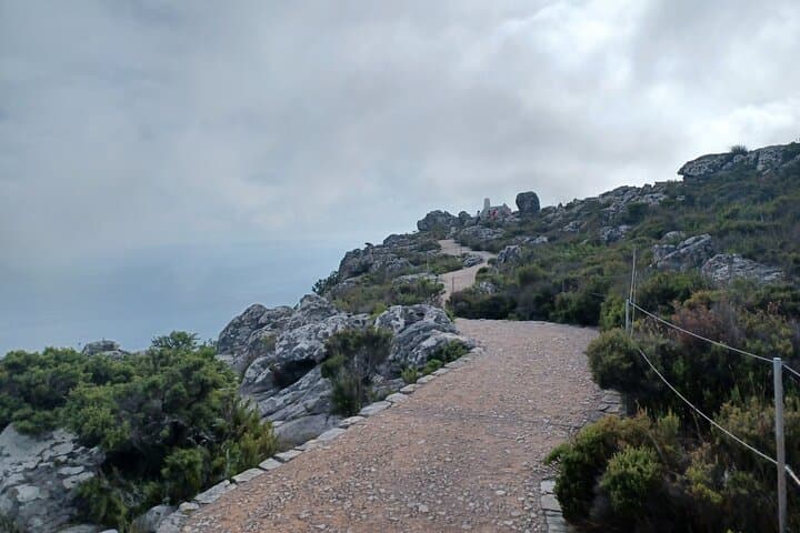 Table Mountain to Cape of Good Hope: Full-Day Cape Town Coastal Tour photo 5