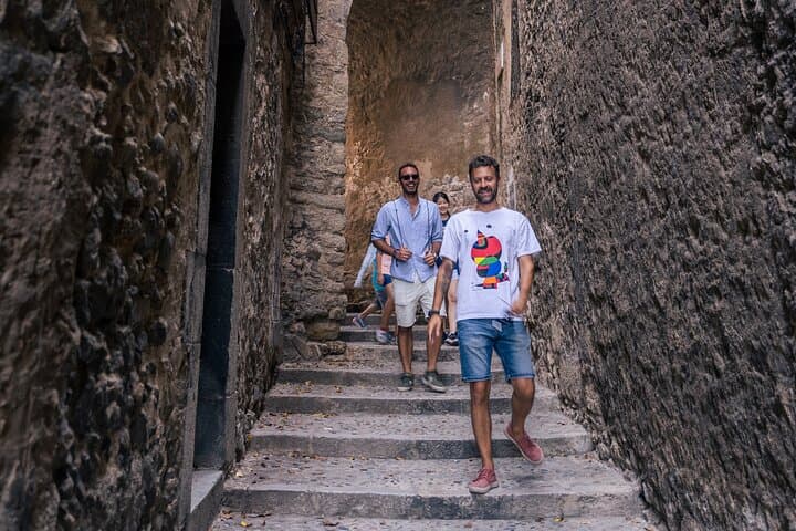 Girona and Costa Brava Private Day Trip from Barcelona photo 2