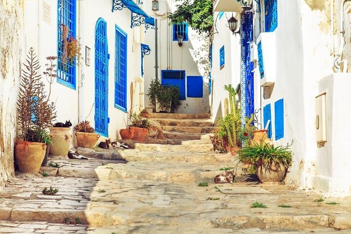 Carthage & Sidi Bou Said: Full-Day Camel Ride and Ruins Tour from Tunis