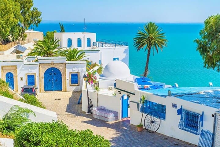 Carthage & Sidi Bou Said: Full-Day Camel Ride and Ruins Tour from Tunis photo 5