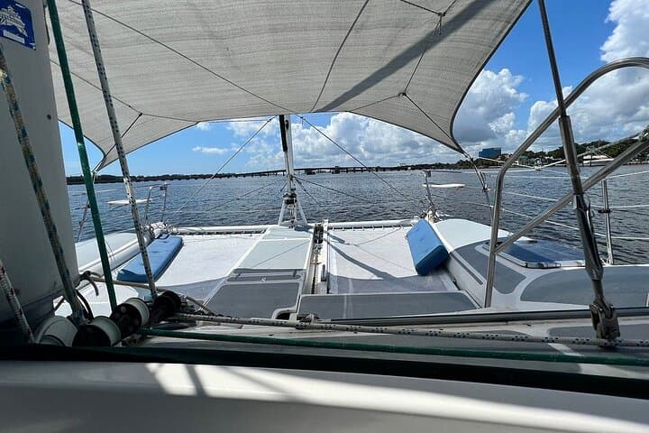 Daytona Beach Sunset Sail: Dolphin and Manatee Watching on the Halifax River photo 3