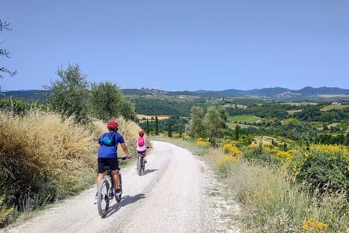 E-bike Through Chianti: Sculpture Park, Scopeto & Chianti Classico Tasting photo 4