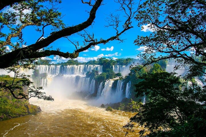 Ecological Adventure: Brazilian Falls & Parque das Aves Tour photo 3