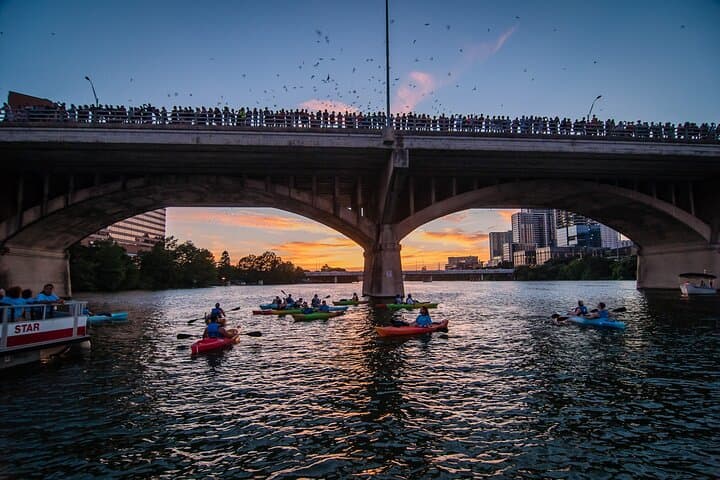 Kayak the Congress Bridge Bat Flight on Lady Bird Lake