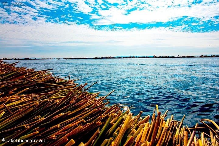 Full-Day Lake Titicaca: Uros & Taquile Cultural Boat Tour from Puno photo 3