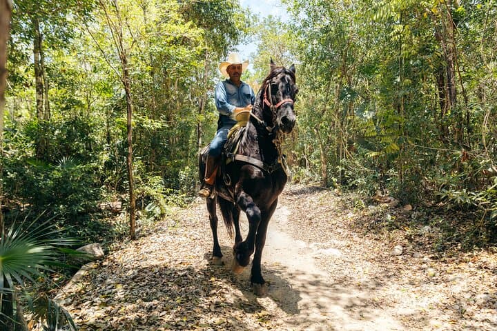 Rider Tour: Horseback, ATV & Cenote Adventure near Cancun photo 3