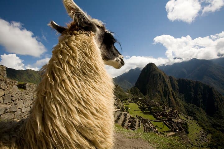 6-Day Cusco Private Journey — Machu Picchu, Sacred Valley & Inca Highlights photo 4