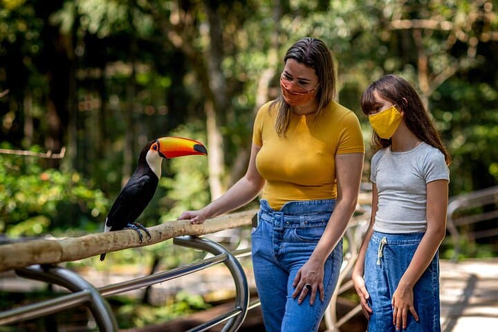VIP Guided Tour at Parque das Aves — Foz do Iguaçu Bird Park Experience photo 6