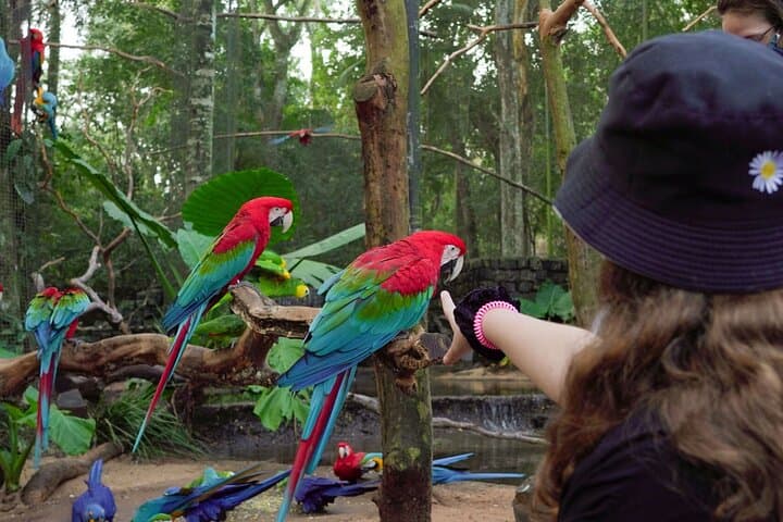 Parque das Aves VIP: Guided Bird Sanctuary Tour Next to Iguaçu Falls photo 4