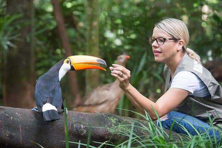 VIP Guided Tour at Parque das Aves — Foz do Iguaçu Bird Park Experience photo 2