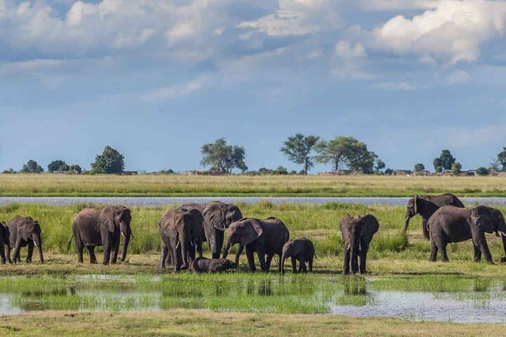 3-Day Masai Mara Safari: Big Five, Migration & Lake Nakuru