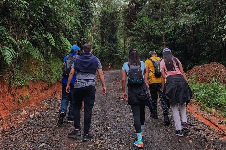 San Antonio Rain Forest Private Tour from Cali — Mountain-top Hike & Birdwatching photo 5