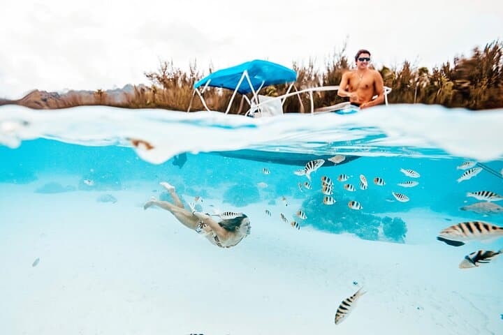 Private Moorea Lagoon Boat Tour — Snorkel with Rays, Reef Sharks & Coral Gardens photo 1