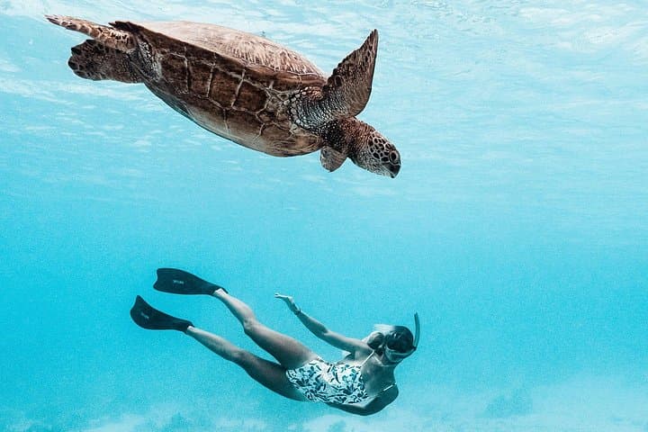 Private Moorea Lagoon Boat Tour — Snorkel with Rays, Reef Sharks & Coral Gardens photo 2