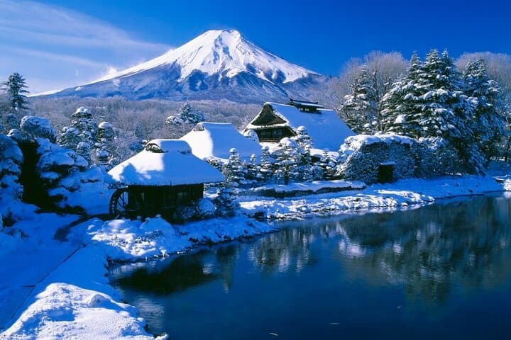 Mt Fuji, Hakone Shrine & Owakudani Day Tour from Tokyo photo 6