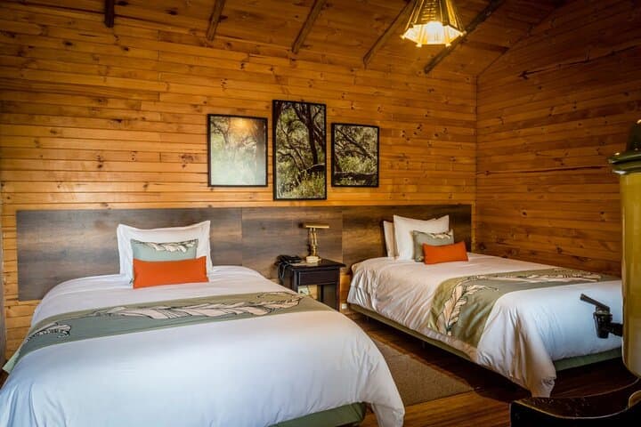 Andes to Amazon: 4-Day Ecuador Adventure with Papallacta Hot Springs and Amazon Lodge photo 4