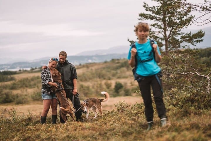 Husky Hike and Puppy Visit Near Tromsø: Fjord Views, Huskies & Open-Fire Lunch photo 5
