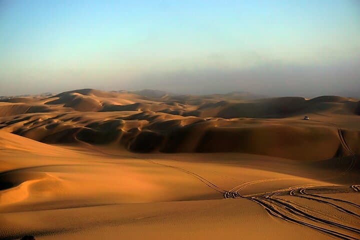 Sandwich Harbour 4x4: Desert-to-Ocean Dune Cruise from Walvis Bay photo 6