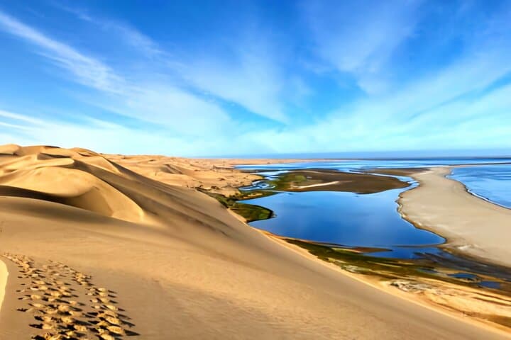 Sandwich Harbour 4x4: Desert-to-Ocean Dune Cruise from Walvis Bay