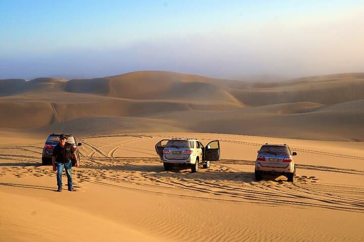 Sandwich Harbour 4x4: Desert-to-Ocean Dune Cruise from Walvis Bay photo 5