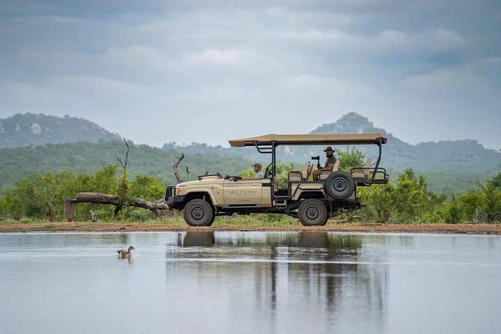 Big 5 Afternoon Safari in Kruger: Afternoon Game Drive from Hoedspruit