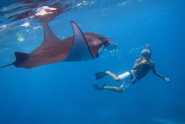 Day trip to Nusa Penida: Snorkel Kelingking & Broken Beach with Lunch photo 5