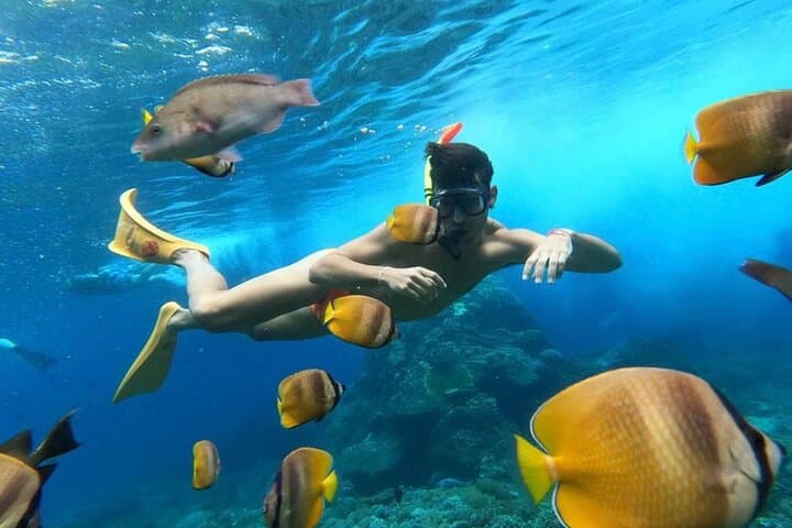 Day trip to Nusa Penida: Snorkel Kelingking & Broken Beach with Lunch photo 6