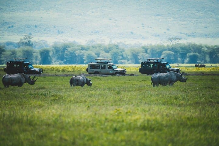 4-Day Tanzania Safari: Ngorongoro, Lake Manyara & Tarangire photo 2