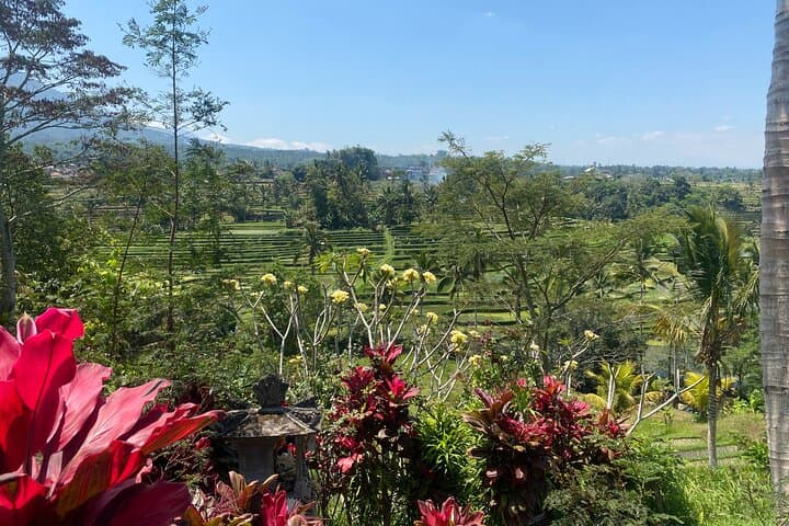 Full-Day Bali Scooter Tour: 5 Elements Ubud Scooter Adventure