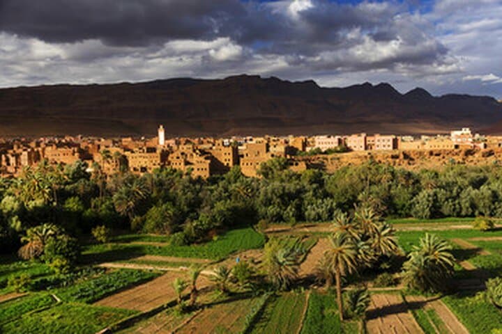 8-Day Morocco Grand Tour: Casablanca to Marrakech via Imperial Cities & Sahara photo 3