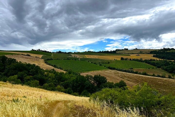 E-bike Wine Tour: The Juice of Romagna from Forlì photo 5