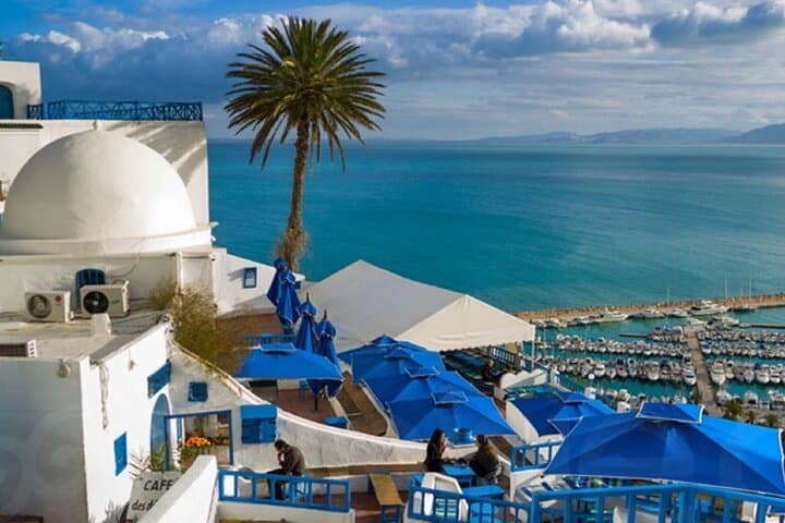 Carthage & Sidi Bou Said: Full-Day Camel Ride and Ruins Tour from Tunis photo 2