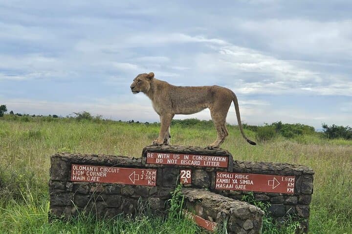 Explore Nairobi’s Urban Wilderness and Cultural Treasures: National Park, Giraffe Centre & Beads Factory Tour photo 1