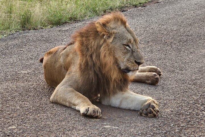 Explore Nairobi’s Urban Wilderness and Cultural Treasures: National Park, Giraffe Centre & Beads Factory Tour photo 4
