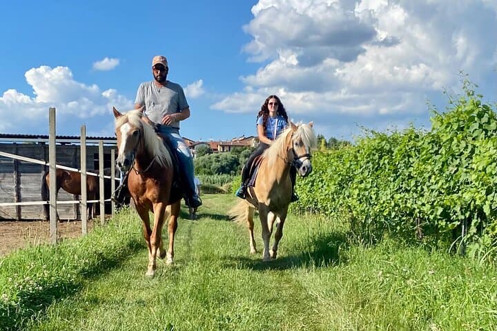 Horseback Riding and Wine Picnic in Lazise Countryside — Lake Garda Equestrian Tour photo 2